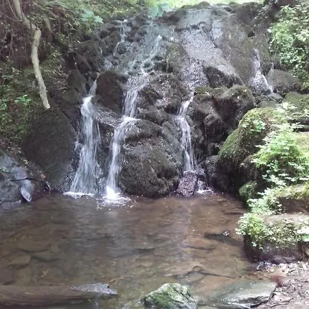 Vandrerhjem Viktoria Bad Bertrich