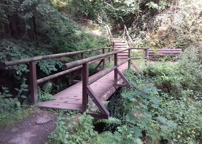 Viktoria Bad Bertrich