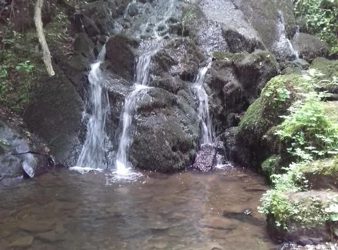 Albergue Viktoria Bad Bertrich